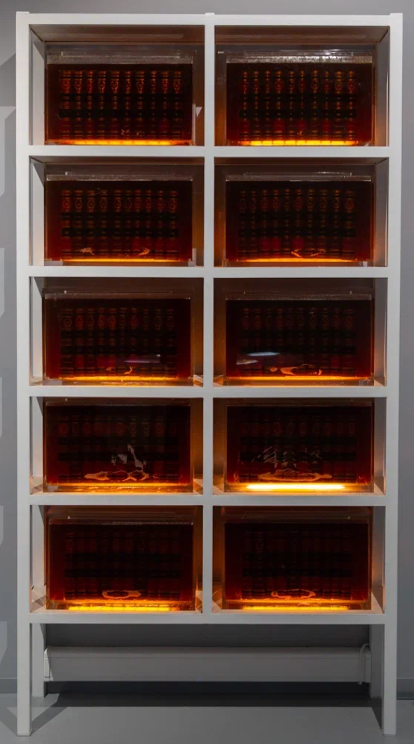 Описание изображения