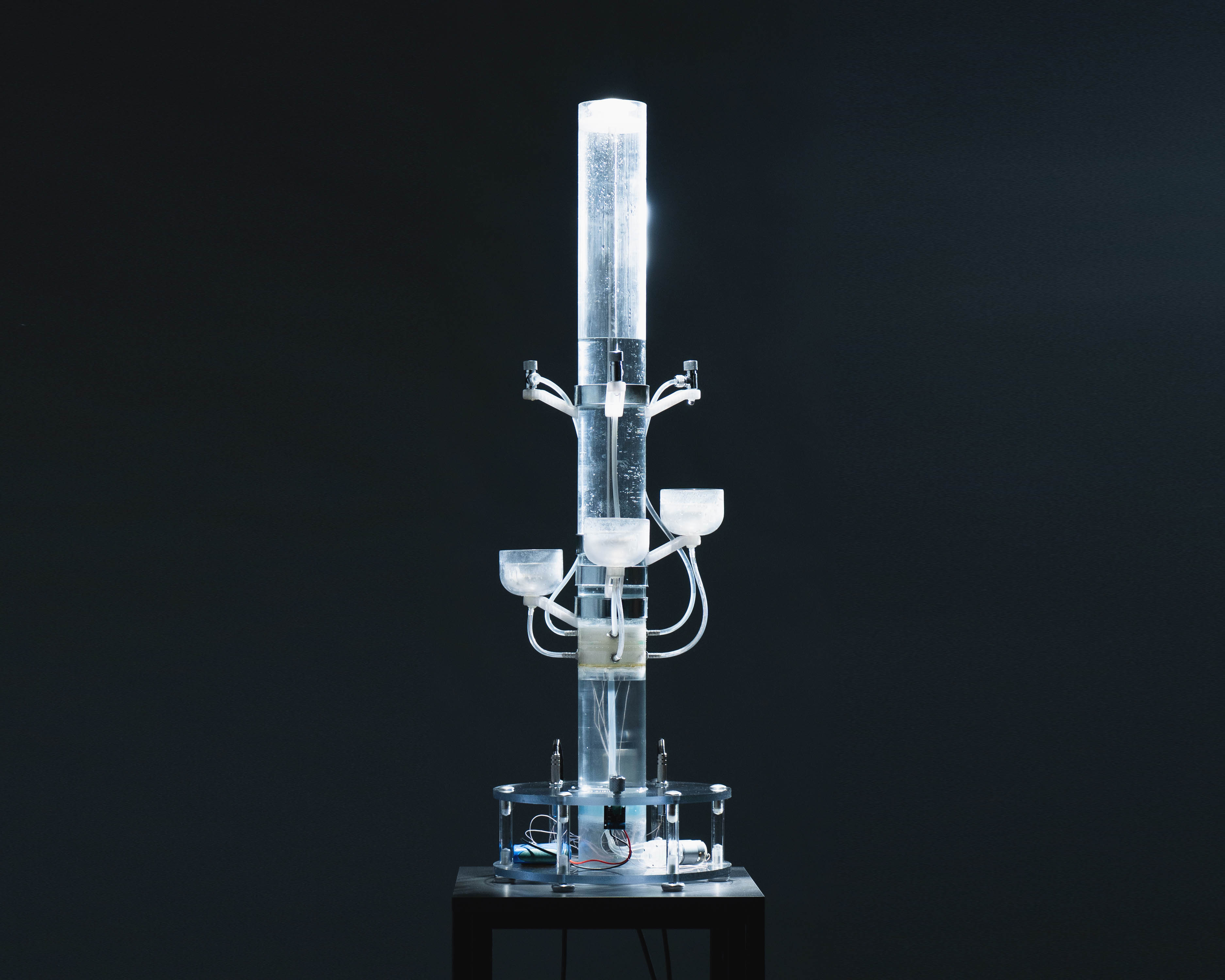 Описание изображения